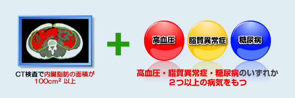 メタボリックシンドロームは、CT検査で内臓脂肪の面積が100平方センチ以上+高血圧・脂質異常症・糖尿病のいずれか2つ以上の病気をもつ